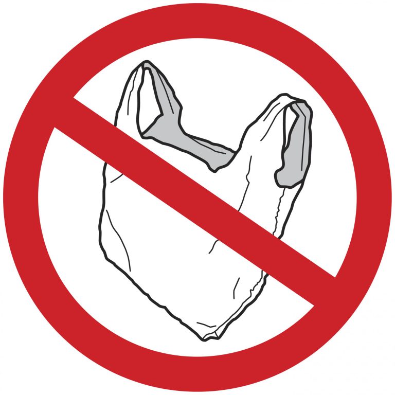 bagban.jpg