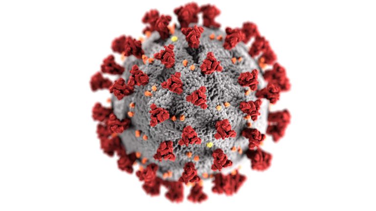 novelcoronavirus-optimized.jpg