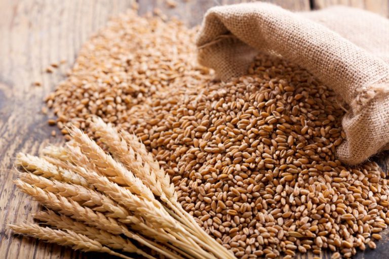 wheat.jpeg