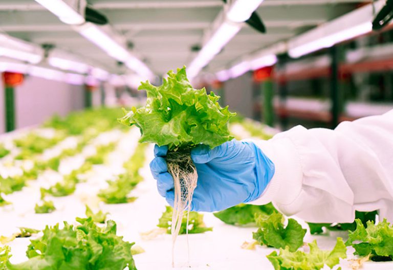 3A0WxWNa-vertical-farm-dubai-5-1.jpg