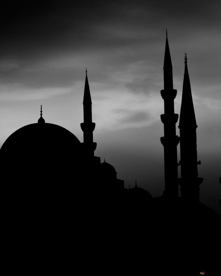 mosque-silhouette-at-night-in-istanbul-one-of-turkey-s-most-beautiful-cities-wallpaper-1170x2532_226.jpg