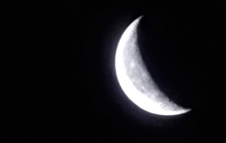 20240404_052350.jpg