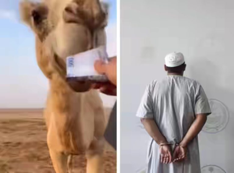 saudi-citizen-arrested.jpeg