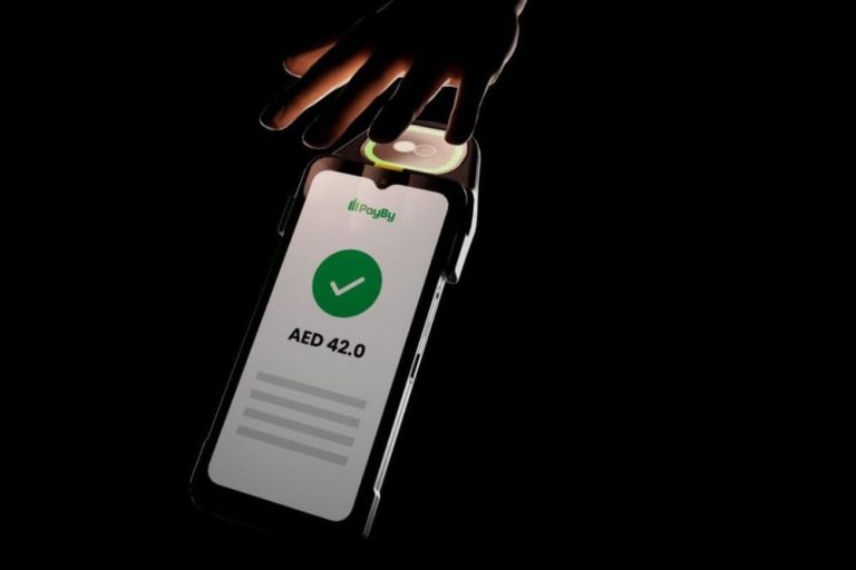 palm-pay.jpg