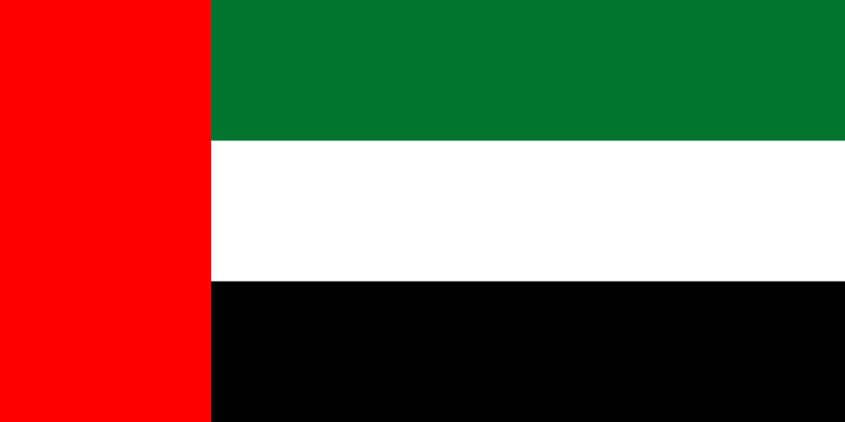Flag_of_the_United_Arab_Emirates.svg_.png