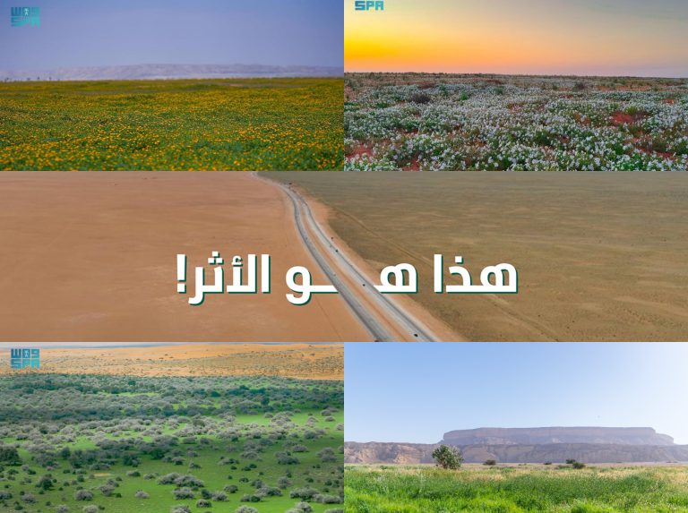 20250115_145536.jpg