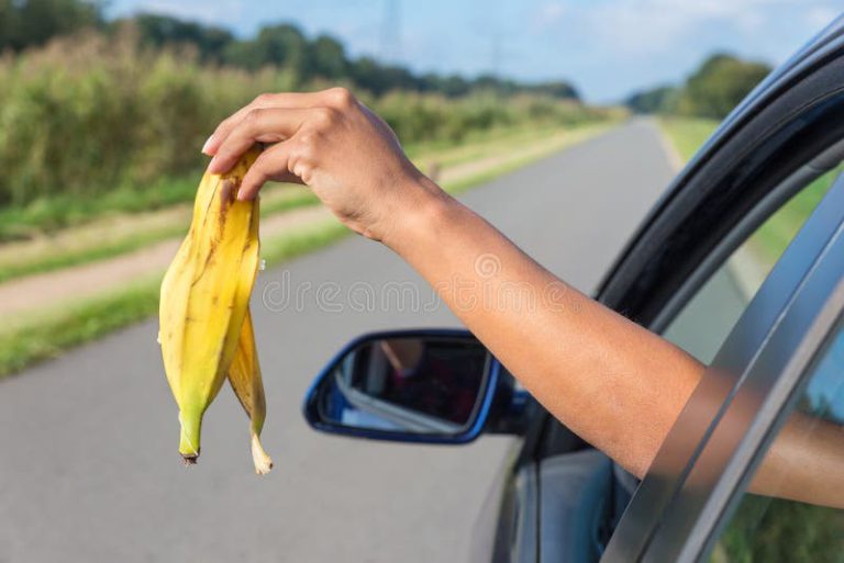 arm-dropping-peel-banana-out-car-window-female-throwing-fruit-waste-80941337.jpg
