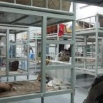 നിയമവിരുദ്ധമായി ടാക്‌സി സര്‍വീസ് നടത്തിയ 1,349 പേരെ ഒരാഴ്ചക്കിടെ TGA സംഘങ്ങള്‍ പിടികൂടി