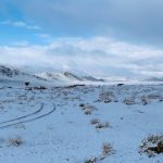 പുതിയ ഫിനാൻഷ്യൽ ഓഡിറ്റ് നിയമം അപകടസാധ്യതകൾ മുൻകൂട്ടി കണ്ടെത്തും: ധന മന്ത്രി