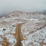 യുഎഇയിൽ പെട്രോൾ, ഡീസൽ വിലയിൽ വർദ്ധനവ്