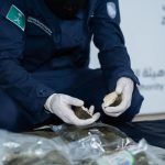 പുതിയ ടിക്കറ്റ് സംവിധാനം അവതരിപ്പിച്ച് റിയാദ് പബ്ലിക് ട്രാൻസ്പോർട്ട്.