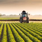 ട്യൂമർ ചികിത്സയിൽ പുതിയ ശസ്ത്രക്രിയ രീതിയുമായി സൗദി യൂണിവേഴ്സിറ്റി