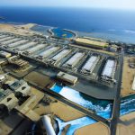 സമാധാനത്തിൻ്റെ സന്ദേശവുമായി സൗദി വിദേശകാര്യ മന്ത്രി