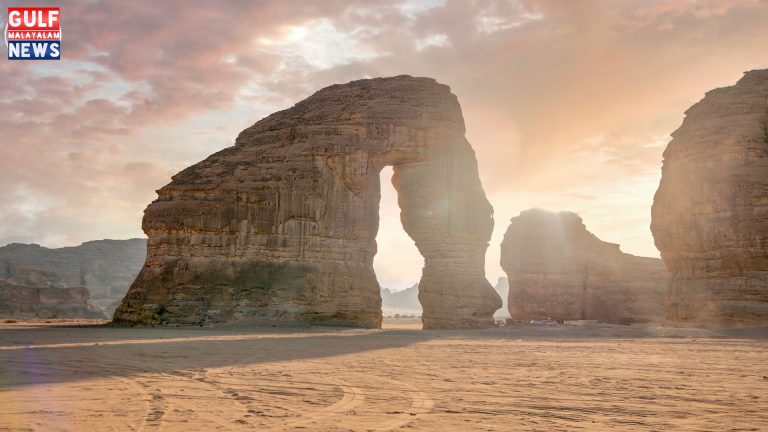 Alula-1.jpg