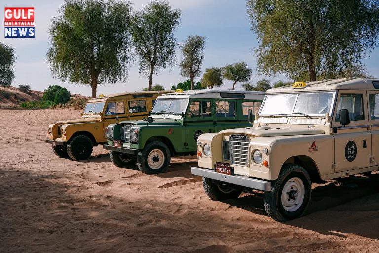 Classic-car-service-RAKTA-.jpg