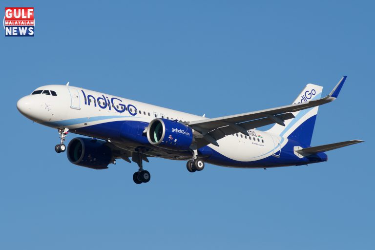 IndiGo_Airbus_A320neo_F-WWDG_to_VT-ITI_28915135713.jpg