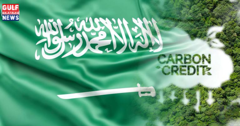 Saudi-CarbonCredit_2024-11-12.jpg