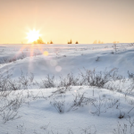സൗദിയിലെ തൊഴിലില്ലായ്മ നിരക്ക് 3.4 ശതമാനമായി കുറഞ്ഞു.