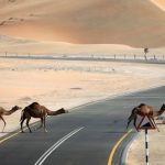 സൗദിയിലേക്ക് സെക്യൂരിറ്റി ക്യാമറകൾ ഇറക്കുമതി ചെയ്യുന്നവർ ശ്രദ്ധിക്കുക!