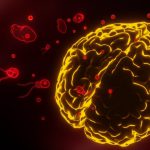 ഗാസയിൽ നിന്ന് പലസ്തീനികളെ ഒഴിപ്പിക്കാനുള്ള ഏതൊരു നീക്കത്തെയും നിരസിക്കുമെന്ന് സൗദി അറേബ്യ