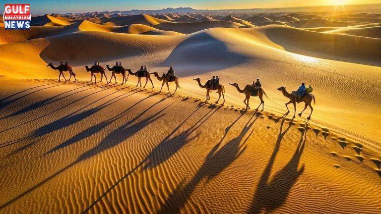 camel2-2-1.jpg