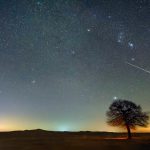 ലോകമെമ്പാടും വ്യാപിച്ച് സൗദിയുടെ സഹായം