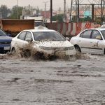 റെഡ്-സീ  കടലമകളുടെ സംരക്ഷണത്തിന് പുതിയ ലൈവ് സാറ്റലൈറ്റ് ട്രാക്കിംഗ് പ്രോഗ്രാം ആരംഭിച്ചു.