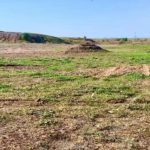 ജനുവരി 1 മുതൽ സൗദിയിൽ മധുര പാനീയങ്ങൾക്ക് നികുതി.