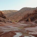 ഗാസയിൽ നിന്ന് പലസ്തീനികളെ ഒഴിപ്പിക്കാനുള്ള ഏതൊരു നീക്കത്തെയും നിരസിക്കുമെന്ന് സൗദി അറേബ്യ