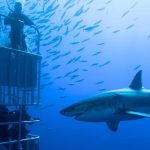 ഇന്നത്തെ തൊഴിൽ വാർത്ത