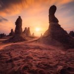 സൗദി അറേബ്യയിൽ ഒരാഴ്ചയ്ക്കുള്ളിൽ  19,576 നിയമലംഘകരെ അറസ്റ്റ് ചെയ്തു