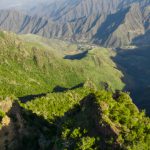 സൗദിയിൽ ലെവി റദ്ദാക്കി…ഉത്തരവ് സ്വാഗതം ചെയ്തു വ്യവസായ മന്ത്രി