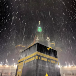 ഫർസാൻ ദ്വീപുകൾ, ദേശാടന പക്ഷികളുടെ പ്രധാന ഇടത്താവളം