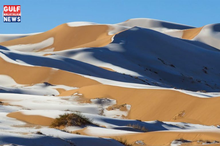 sahara-desert-ice-32.jpg