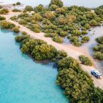 നിയമ തൊഴിൽ സേവനങ്ങൾ കാര്യക്ഷമമാക്കുന്നതിനായി ദുബായിൽ പുതിയ ഡിജിറ്റൽ സംവിധാനം ആരംഭിച്ചു.