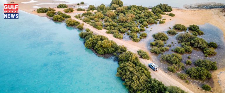 saudi-arabia-farasan-island-xl.jpg