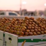 യുഎൻ സുരക്ഷാ കൗൺസിലിൽ പലസ്തീൻ അവകാശങ്ങൾക്കുള്ള പിന്തുണ സൗദി അറേബ്യ ആവർത്തിച്ച് ഉറപ്പിച്ചു