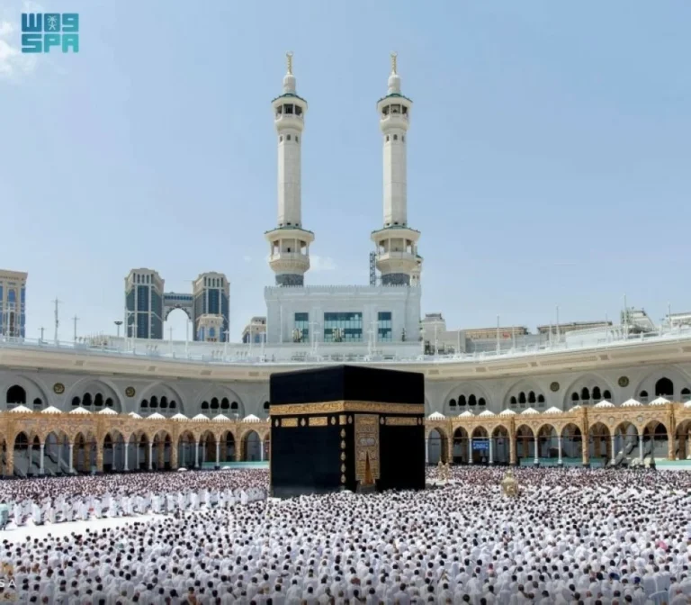 2655935.webp