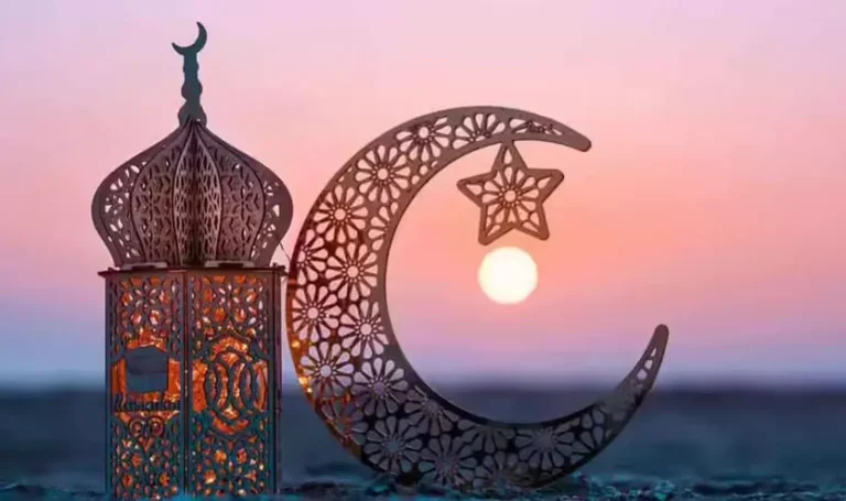 2816294-2816265-eid.webp