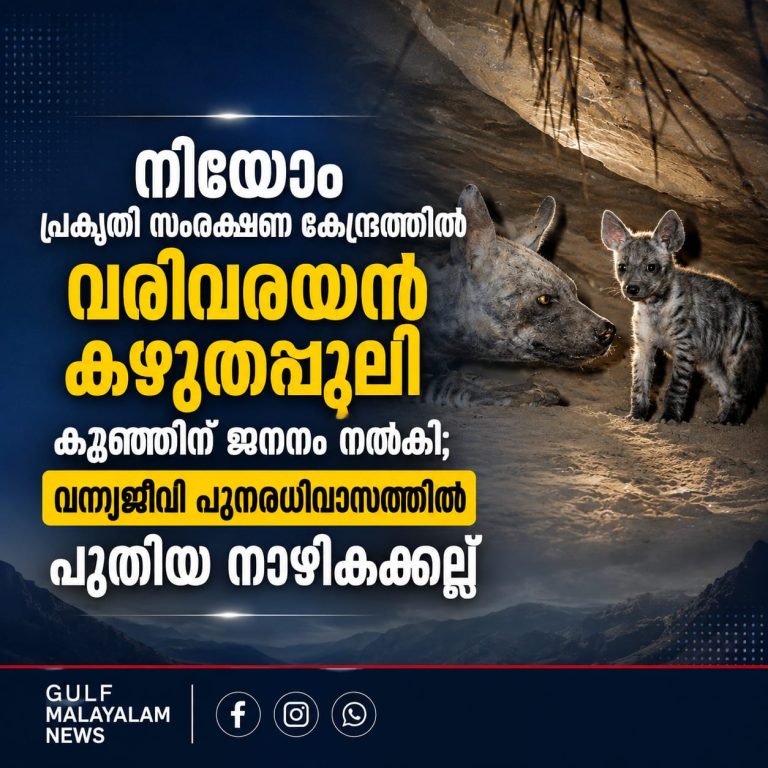 IMG-20260819-WA0009
